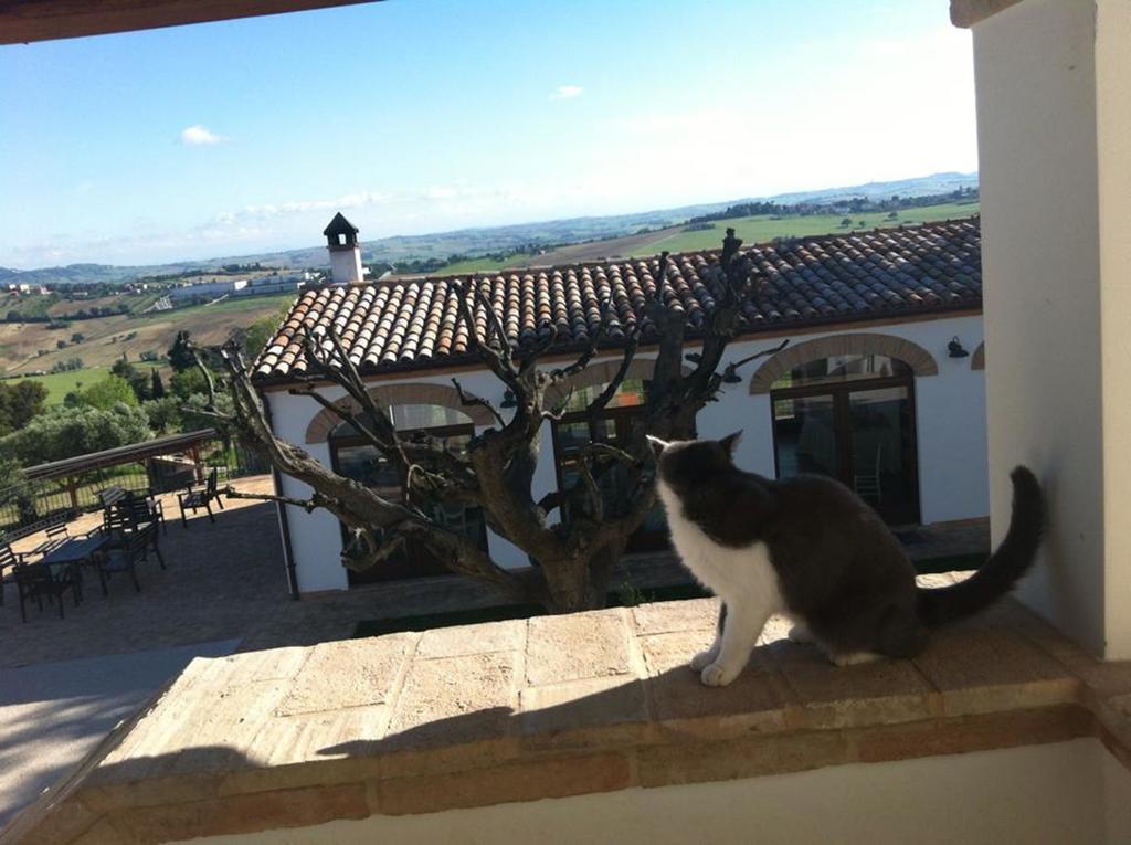 Villa Coralia Agriturismo โอซิโม ภายนอก รูปภาพ