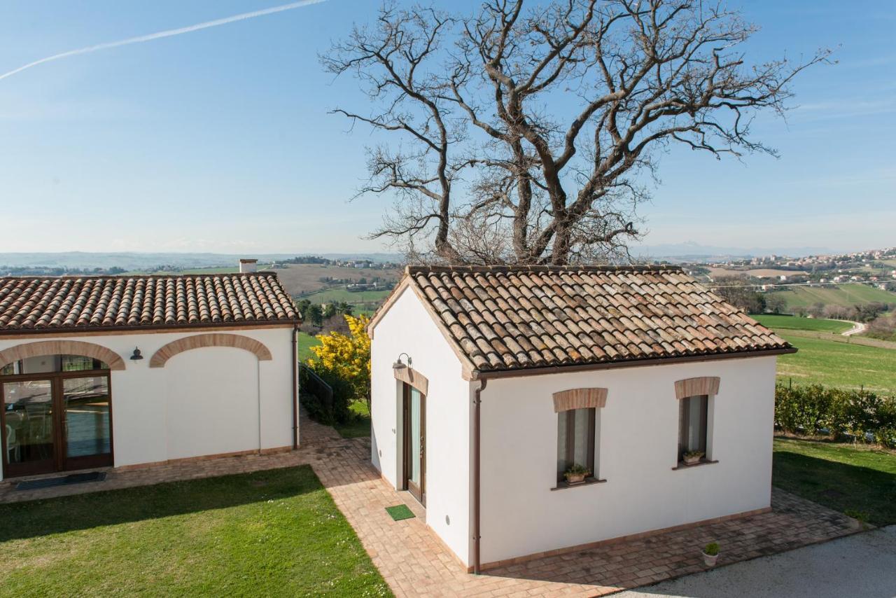 Villa Coralia Agriturismo โอซิโม ภายนอก รูปภาพ
