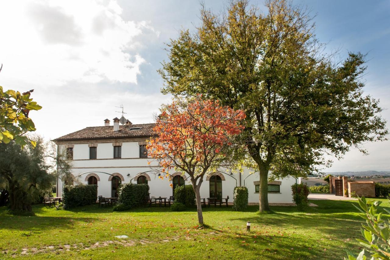 Villa Coralia Agriturismo โอซิโม ภายนอก รูปภาพ