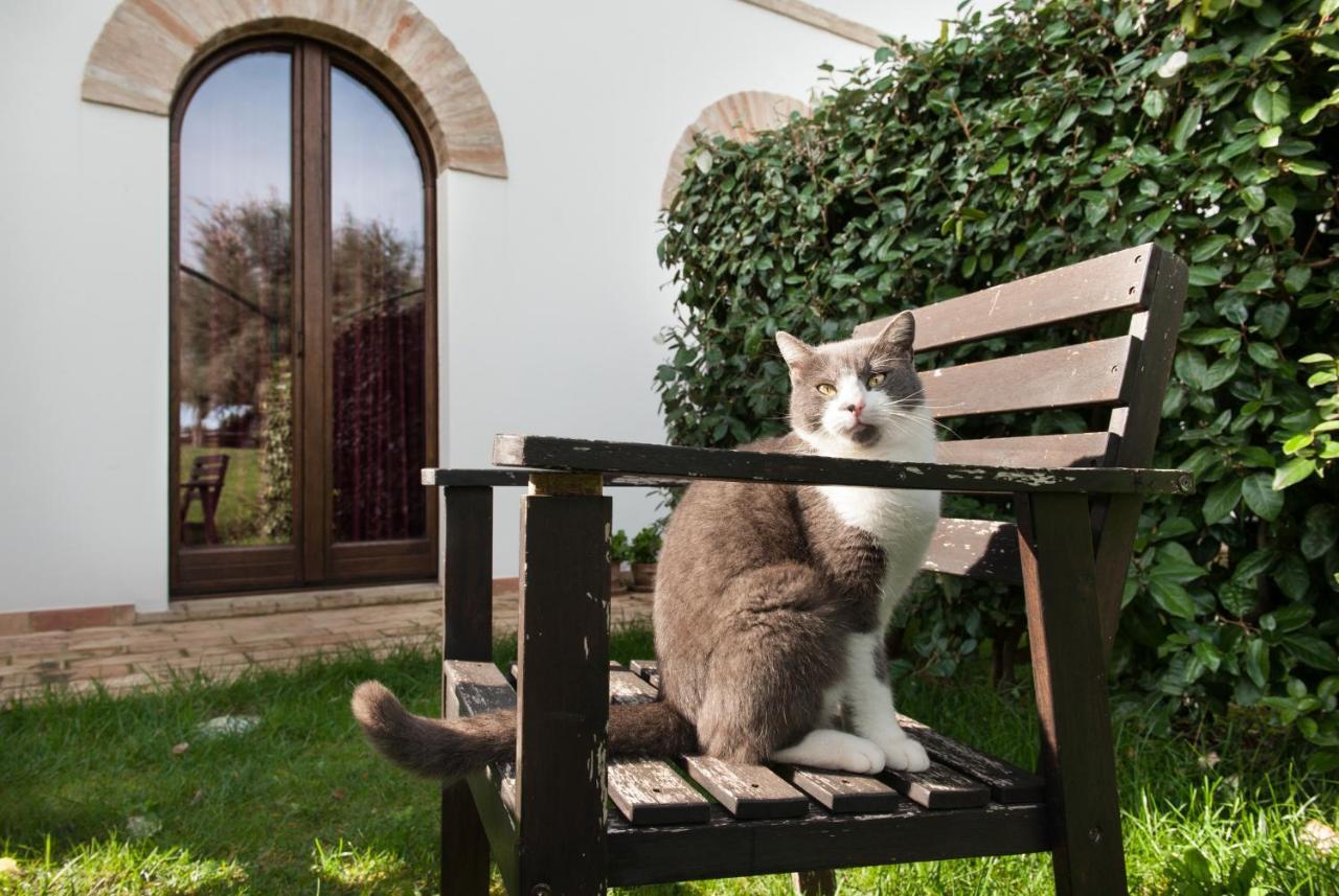 Villa Coralia Agriturismo โอซิโม ภายนอก รูปภาพ
